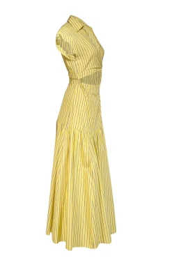 Derek Lam - Yellow & Blue Pin Stripe Cap Sleeve Maxi Dress Sz 6