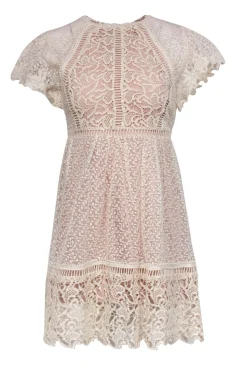 Ranna Gill - Beige Floral Embroidered & Lace Short Sleeve Dress Sz 00P